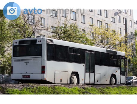 002D 709 77, MAN Lion