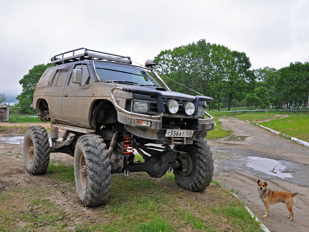 т 556 ат 125, Nissan Terrano 